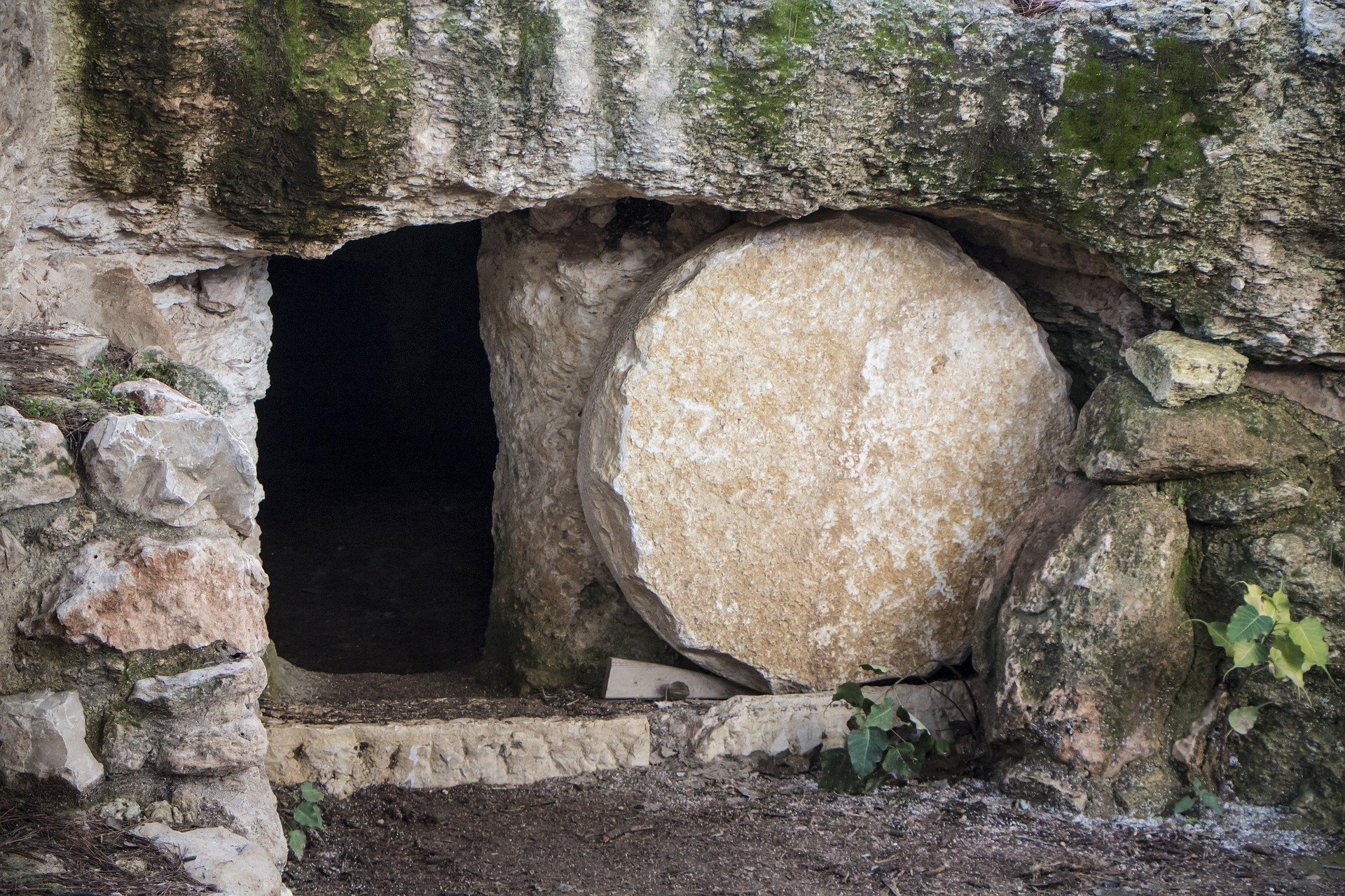 Resurrection Prophecies